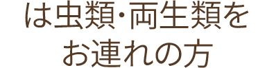 は虫類･両生類をお連れの方