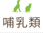 哺乳類