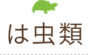 は虫類