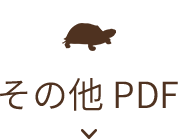 その他用問診票PDF